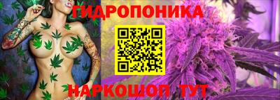 амф Гусиноозёрск