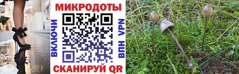 Псилоцибиновые грибы прущие грибы  Железноводск 